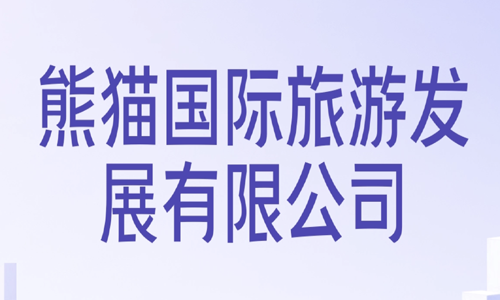 熊猫国际网络安全建设